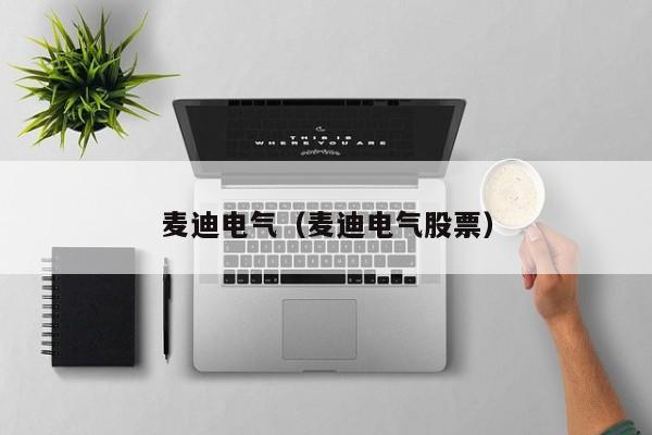 麦迪电气（麦迪电气股票） 第1张