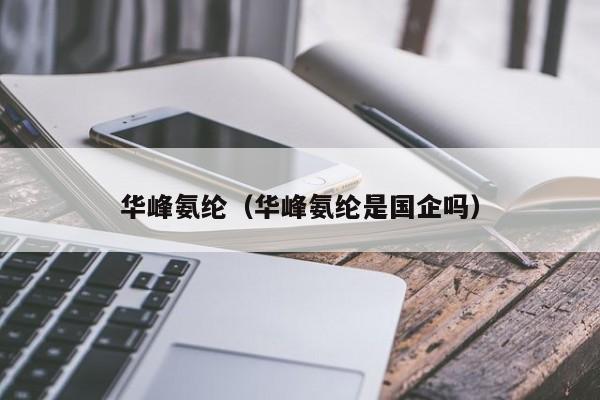 华峰氨纶（华峰氨纶是国企吗） 第1张