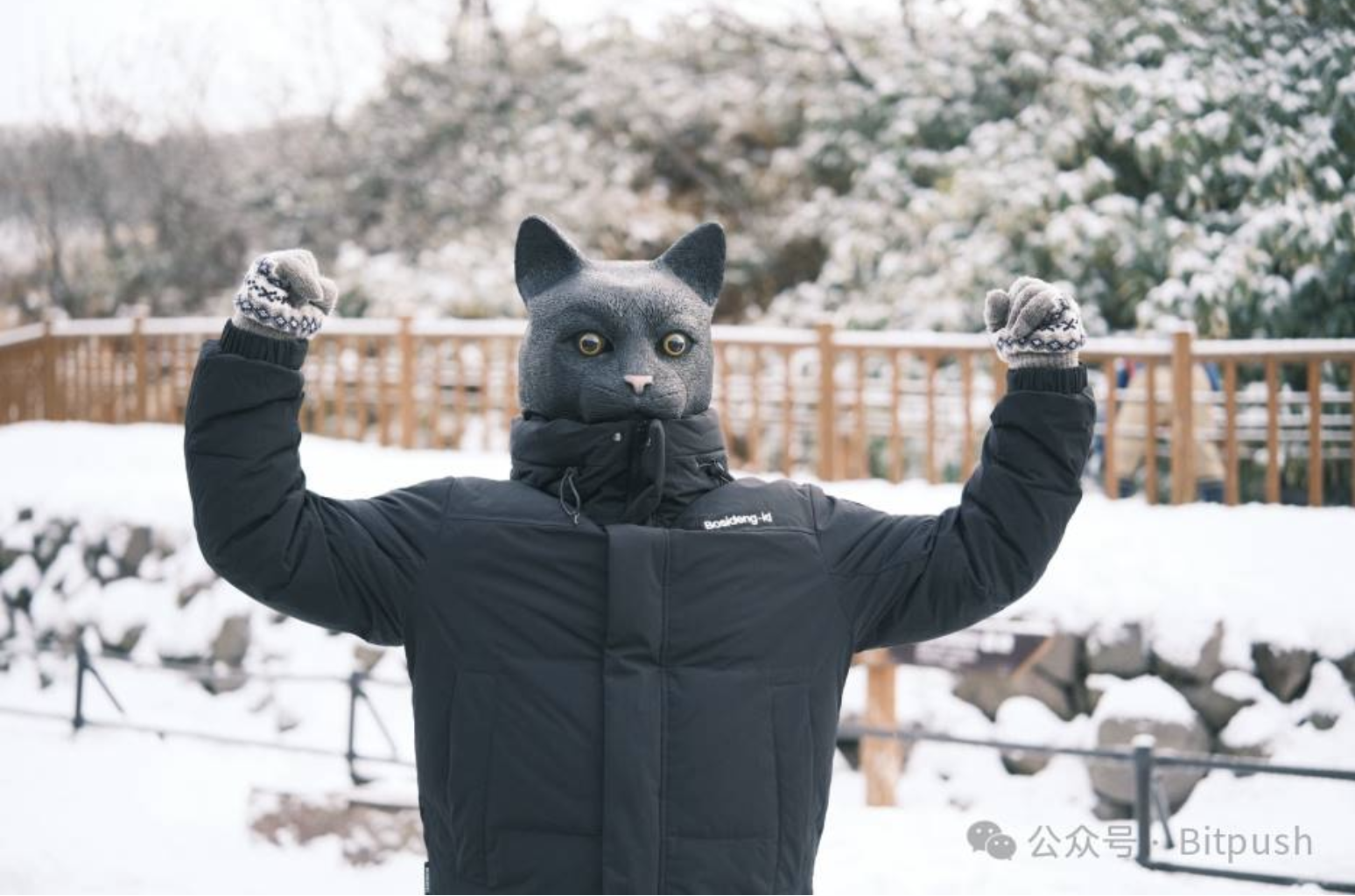 专访猫总:我在日本,用加密货币卖房子 第1张 专访猫总:我在日本,用加密货币卖房子 第1张